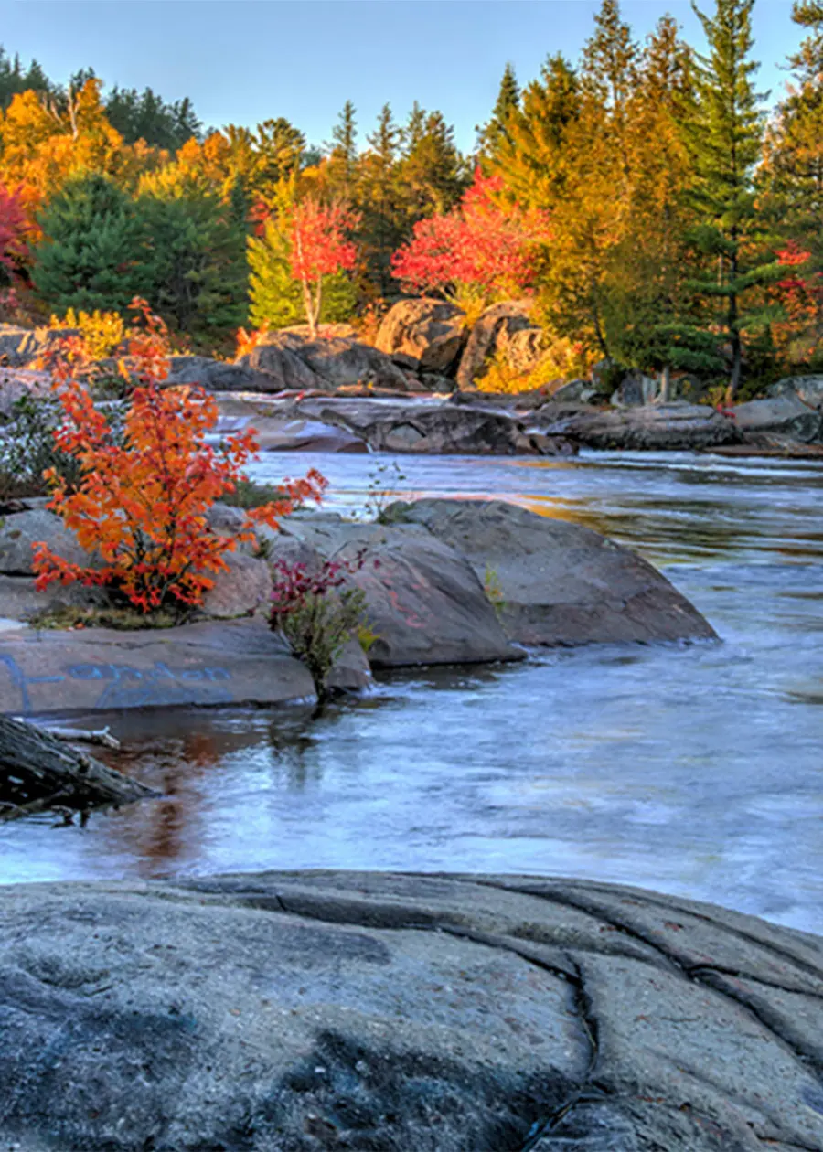 Sights & Sounds of the French River