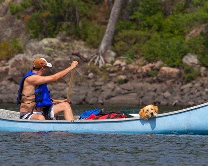 870x696_canoeing-dog-sleeping